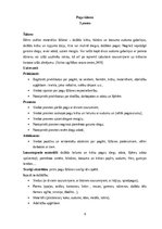 Konspekts 'Idejas tehnoloģiju mācību jomai', 8.