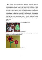 Konspekts 'Idejas tehnoloģiju mācību jomai', 9.