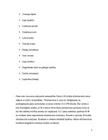 Referāts 'Piens kā pārtikas izejviela', 5.