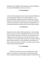 Referāts 'Piens kā pārtikas izejviela', 10.