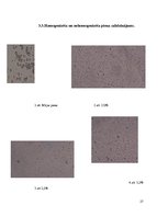 Referāts 'Piens kā pārtikas izejviela', 27.