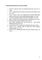 Referāts 'Sabiedriskās attiecības Rīgas Domes Vidzemes priekšpilsētas izpilddirekcijā', 19.