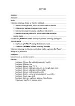 Diplomdarbs 'Interneta mārketinga izpēte un analīze uzņēmumā "X"', 1.