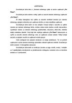 Diplomdarbs 'Interneta mārketinga izpēte un analīze uzņēmumā "X"', 2.