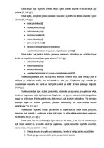 Diplomdarbs 'Interneta mārketinga izpēte un analīze uzņēmumā "X"', 16.