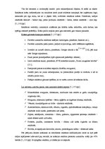 Diplomdarbs 'Interneta mārketinga izpēte un analīze uzņēmumā "X"', 19.