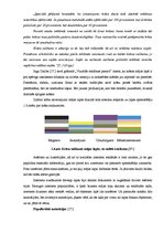 Diplomdarbs 'Interneta mārketinga izpēte un analīze uzņēmumā "X"', 20.