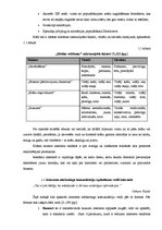 Diplomdarbs 'Interneta mārketinga izpēte un analīze uzņēmumā "X"', 21.