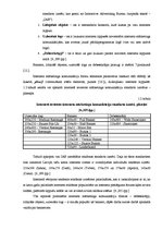 Diplomdarbs 'Interneta mārketinga izpēte un analīze uzņēmumā "X"', 22.