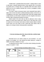 Diplomdarbs 'Interneta mārketinga izpēte un analīze uzņēmumā "X"', 23.