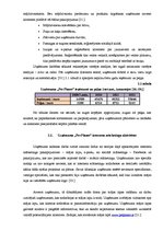 Diplomdarbs 'Interneta mārketinga izpēte un analīze uzņēmumā "X"', 28.