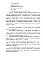 Diplomdarbs 'Interneta mārketinga izpēte un analīze uzņēmumā "X"', 29.