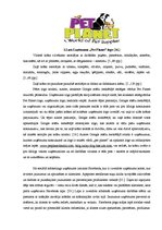 Diplomdarbs 'Interneta mārketinga izpēte un analīze uzņēmumā "X"', 30.