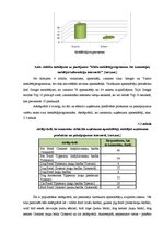 Diplomdarbs 'Interneta mārketinga izpēte un analīze uzņēmumā "X"', 41.