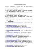 Diplomdarbs 'Interneta mārketinga izpēte un analīze uzņēmumā "X"', 47.