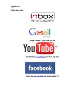 Diplomdarbs 'Interneta mārketinga izpēte un analīze uzņēmumā "X"', 51.