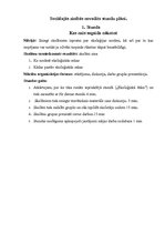 Prakses atskaite 'Astoņu sociālo zinību stundu plāni ar analīzi un pašizvērtējumu', 1.