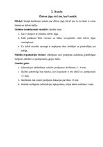 Prakses atskaite 'Astoņu sociālo zinību stundu plāni ar analīzi un pašizvērtējumu', 4.