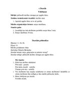 Prakses atskaite 'Astoņu sociālo zinību stundu plāni ar analīzi un pašizvērtējumu', 10.