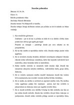 Prakses atskaite 'Astoņu sociālo zinību stundu plāni ar analīzi un pašizvērtējumu', 20.