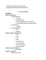 Prakses atskaite 'Prakses atskaite par AS "Laima"', 8.