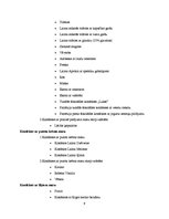 Prakses atskaite 'Prakses atskaite par AS "Laima"', 9.