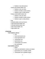 Prakses atskaite 'Prakses atskaite par AS "Laima"', 11.