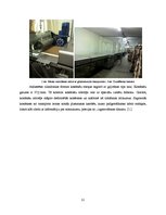 Prakses atskaite 'Prakses atskaite par AS "Laima"', 21.