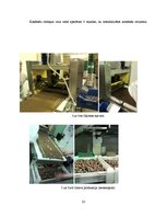 Prakses atskaite 'Prakses atskaite par AS "Laima"', 22.