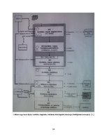 Prakses atskaite 'Prakses atskaite par AS "Laima"', 24.
