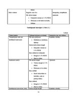 Prakses atskaite 'Prakses atskaite par AS "Laima"', 34.