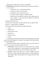 Paraugs 'Lietišķā sarakste', 3.