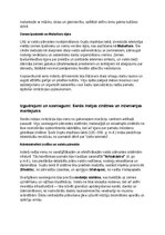 Konspekts 'Seno indiešu vēsture, kultūra, mitoloģija, sabiedrība un kultūras mantojums', 13.