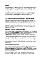 Konspekts 'Seno indiešu vēsture, kultūra, mitoloģija, sabiedrība un kultūras mantojums', 35.