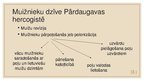 Prezentācija 'Pārdaugavas hercogiste', 10.