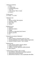 Konspekts 'Mediju kontentanalīze: diskriminācijas izskaušana', 3.