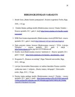 Referāts 'Fizisko personu īstermiņa kredītu tirgus', 26.