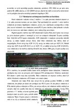 Referāts 'Videokartes un GPU, to salīdzinājums ar mobilajām versijām', 11.