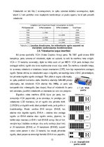 Referāts 'Videokartes un GPU, to salīdzinājums ar mobilajām versijām', 13.