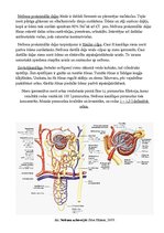 Konspekts 'Urīnorgānu sistēma', 6.