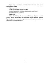 Referāts 'Speciālo pasākumu organizēšana Dobeles Jaunatnes Veselības centrā jauniešu piesa', 4.