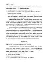 Referāts 'Speciālo pasākumu organizēšana Dobeles Jaunatnes Veselības centrā jauniešu piesa', 11.