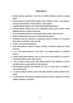 Referāts 'Speciālo pasākumu organizēšana Dobeles Jaunatnes Veselības centrā jauniešu piesa', 21.