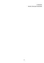 Referāts 'Speciālo pasākumu organizēšana Dobeles Jaunatnes Veselības centrā jauniešu piesa', 28.