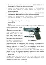 Diplomdarbs 'Eksperts, tā tiesiskais regulējums Latvijā', 90.