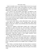 Referāts 'Putnu gripa', 12.