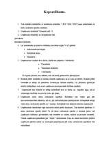 Biznesa plāns 'Biznesa plāns SIA "SPS"', 3.