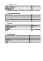 Biznesa plāns 'Biznesa plāns SIA "SPS"', 5.