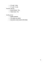 Biznesa plāns 'Biznesa plāns SIA "SPS"', 14.