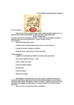 Prakses atskaite 'Praktiskais darbs personāla vadībā par uzņēmumu SIA "Lāči"', 16.